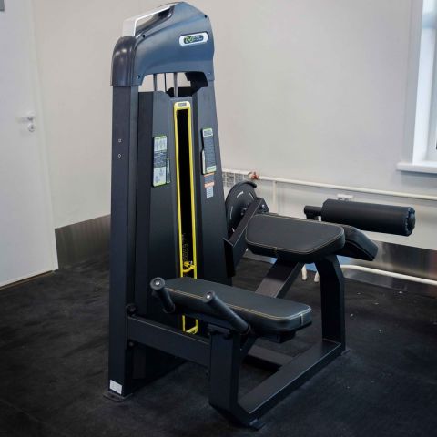 E-3001 Сгибание ног лежа (Prone Leg Cur). Стек 94 кг.