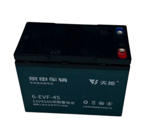Комплект тяговых гелевых аккумуляторов OMA Electric 58A/h