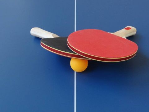 Теннисный стол Donic Indoor Roller 800